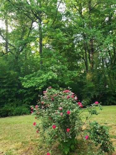 883 Timbervale Ln, Lithonia GA 30058-6013 exterior