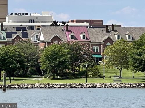 507 Pendleton St, Alexandria VA 22314-1903 exterior