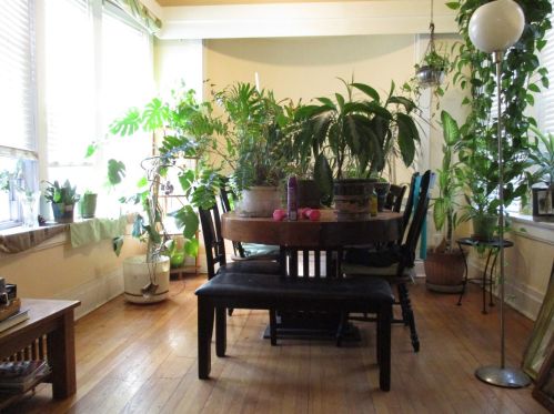 6623 Woodlawn, Chicago IL 60619-7924 exterior