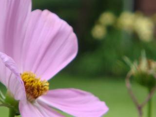 30 Arcadia Rd, Hackensack NJ  07601-1213 exterior