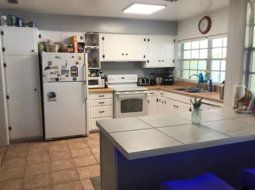 8005 Pne Hl Dr, Tampa FL 33617-7602 exterior