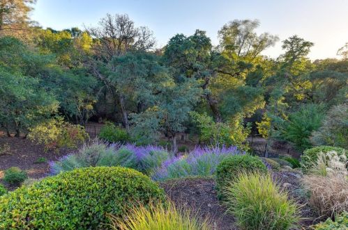 5251 Da Vinci Dr, Folsom CA  95762 exterior