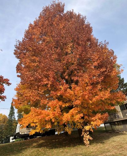 3840 Getchell Rd, Duluth MN 55811-1754 exterior