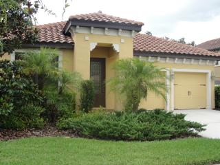 20322 Chestnut Grove Dr, Tampa FL  33647-3344 exterior