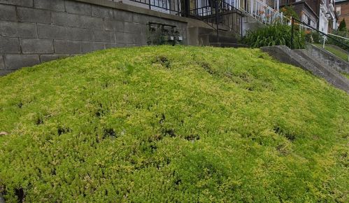 3529 Fleming Ave, Pittsburgh PA 15212-2113 exterior