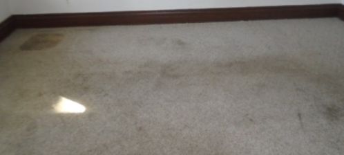 12114 Lowe Ave, Chicago IL 60628-7037 exterior