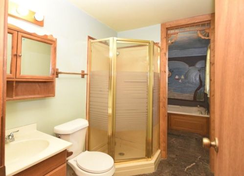 3815 Pne Needle Dr, Duluth GA 30096-2533 exterior