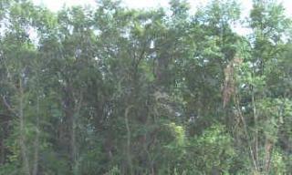 36 Tyrol Ln, Rochester, MN 55904-6390