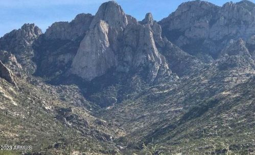 11656 Silverwood Dr, Tucson AZ 85739-1003 exterior