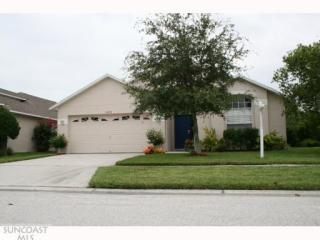 14318 Moon Flower Dr, Tampa, FL 33626-2346