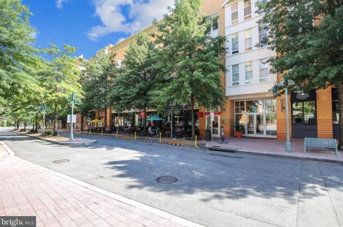 311 Kentucky Ave, Alexandria VA 22305 exterior