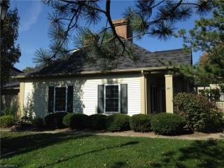 3077 Macintosh Dr, Cleveland OH  44145-4579 exterior