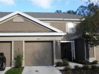 4241 Key Thatch Dr, Tampa FL  33610-9032 exterior