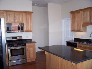 1802 Wharton St, Pittsburgh PA  15203-1738 exterior