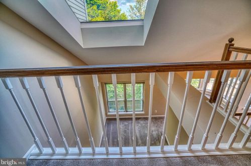 4503 Hazeltine Ct, Alexandria VA 22312-3206 exterior