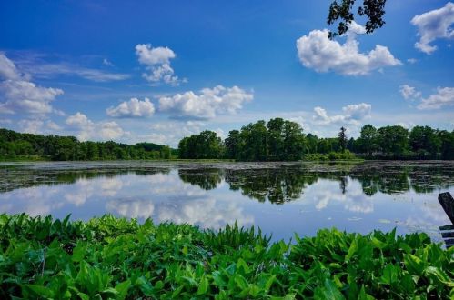 121 Hope Ave, Worcester, MA 01603-2212