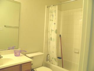 17214 Morning Blossom Pl, Houston TX  77084-1374 exterior