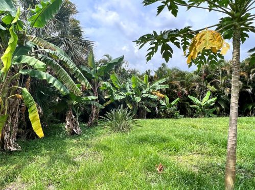 5302 Sunset Blvd, Fort Pierce FL  34982-3876 exterior