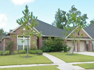 911 Adowa Spring Loop, Spring TX  77373-4605 exterior