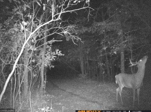 27948 128 St, Zimmerman MN 55398-9220 exterior