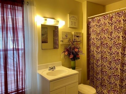 93 Thompson St, Springfield MA 01109-3919 exterior