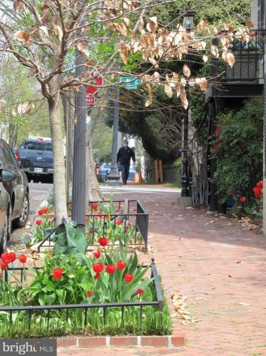 1237 29th St, Washington DC  20019-2102 exterior