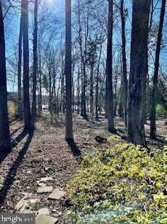 5117 Mount Vernon Memorial Hwy, Alexandria VA  22309-3319 exterior