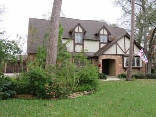 25110 London Town Dr, Spring TX  77389-3254 exterior