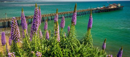 918 Ponselle Ln, Capitola, CA 95010-2404