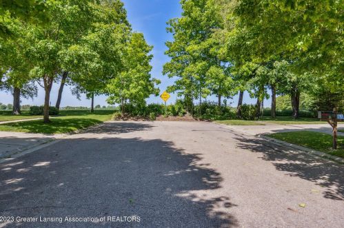 502 Brunswick Dr, Dewitt MI 48820-9189 exterior