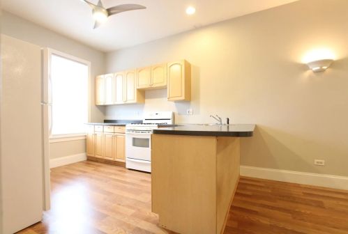 1615 Morgan St, Chicago IL 60827-6225 exterior