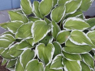 2437 178th Ave, Portland OR  97233-5219 exterior