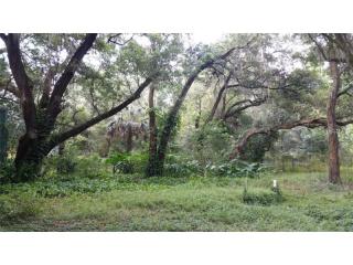 1910 Wise Rd, Zephyrhills, FL 33540-7119