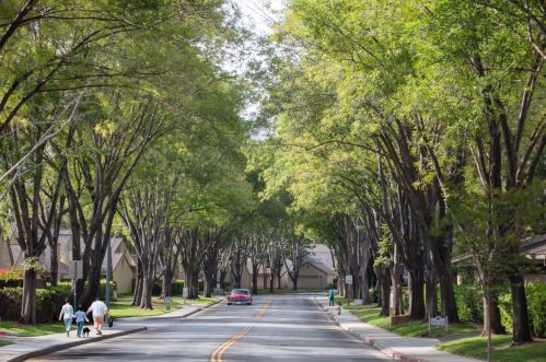 5595 Makati Cir, San Jose CA 95123-6236 exterior