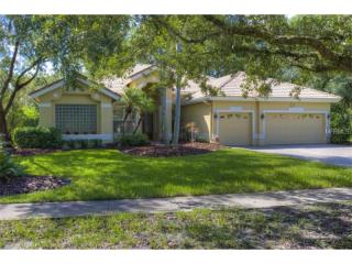 15917 Dawson Ridge Dr, Tampa, FL 33647-1325