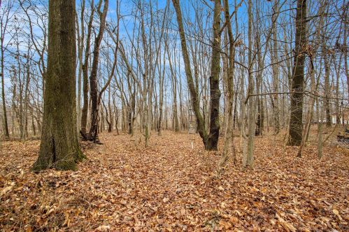 2668 35 St, Allegan MI 49010-9224 exterior