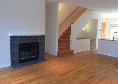 259 Goethe St, Chicago IL  60610-1809 exterior