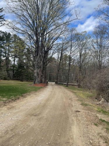 1240 Franklin Pierce Hwy, Barrington NH 03825-7331 exterior