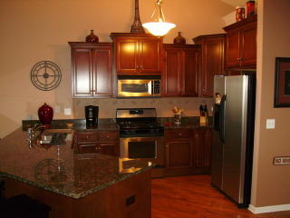 1857 Turtle Creek Dr, Aurora IL  60503-4928 exterior