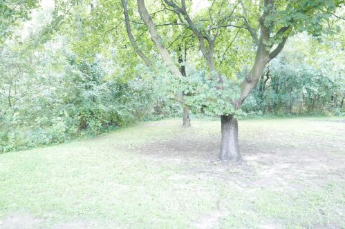 1430 Huntington Ave, Kalamazoo MI  49048-1110 exterior