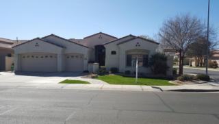 4542 Wildflower Pl, Chandler, AZ 85248-4862