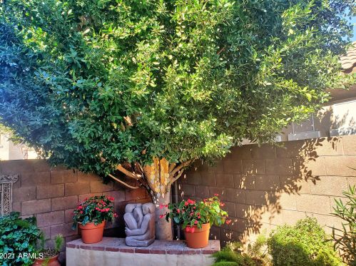 2042 Carla Vis Dr, Chandler AZ 85225-5269 exterior