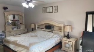 583 Clover Rd, Withers Mill MO 63401-2599 exterior