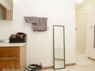 1007 Locust St, Champaign IL  61820-9118 exterior