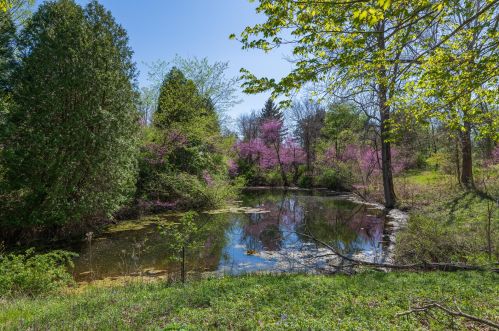 6450 2 St, Kalamazoo MI 49007-4909 exterior