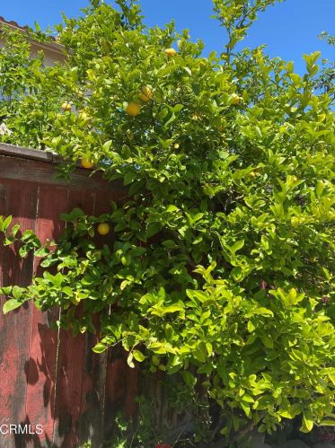 1331 Martin Luther King Jr Dr, Oxnard CA  93030-2575 exterior