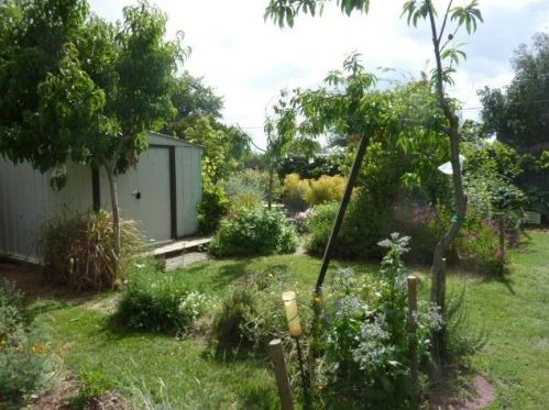 8194 Marshall St, Sutter CA 95982-2315 exterior