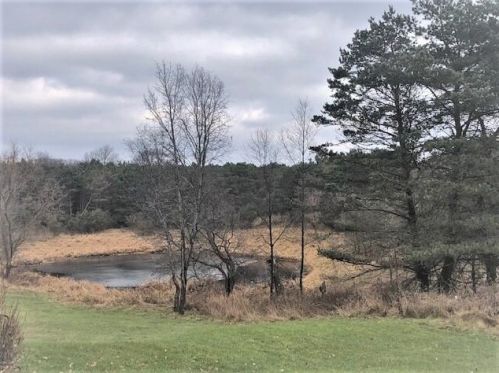 23494 Meceola Rd, Reed City MI 49677-9007 exterior