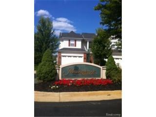 41586 Mitchell Rd, Novi, MI 48377-2896