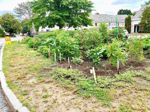 129 Fisherville Rd, Concord NH  03303-2081 exterior